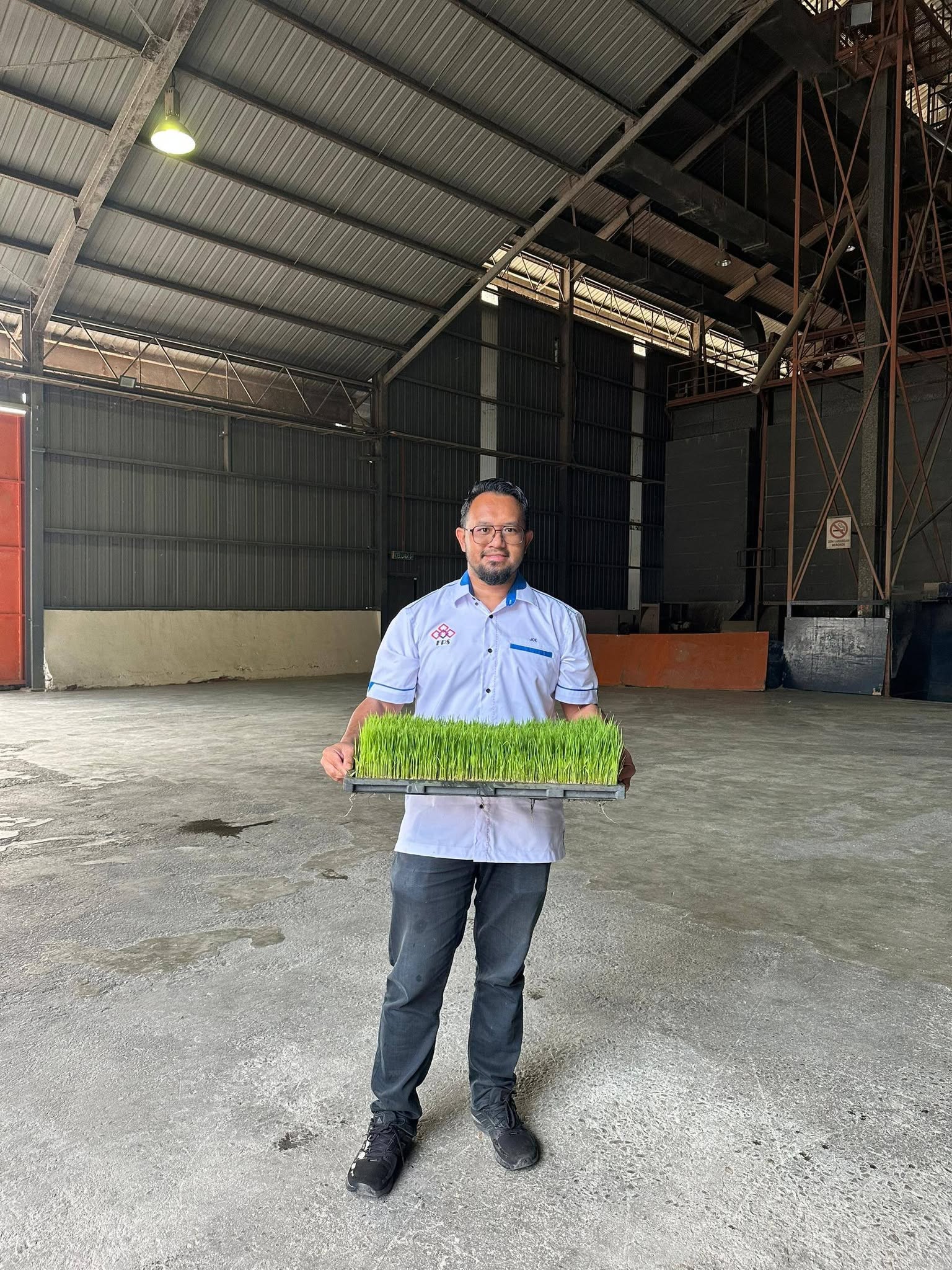 Imej Pusat Benih Padi 07